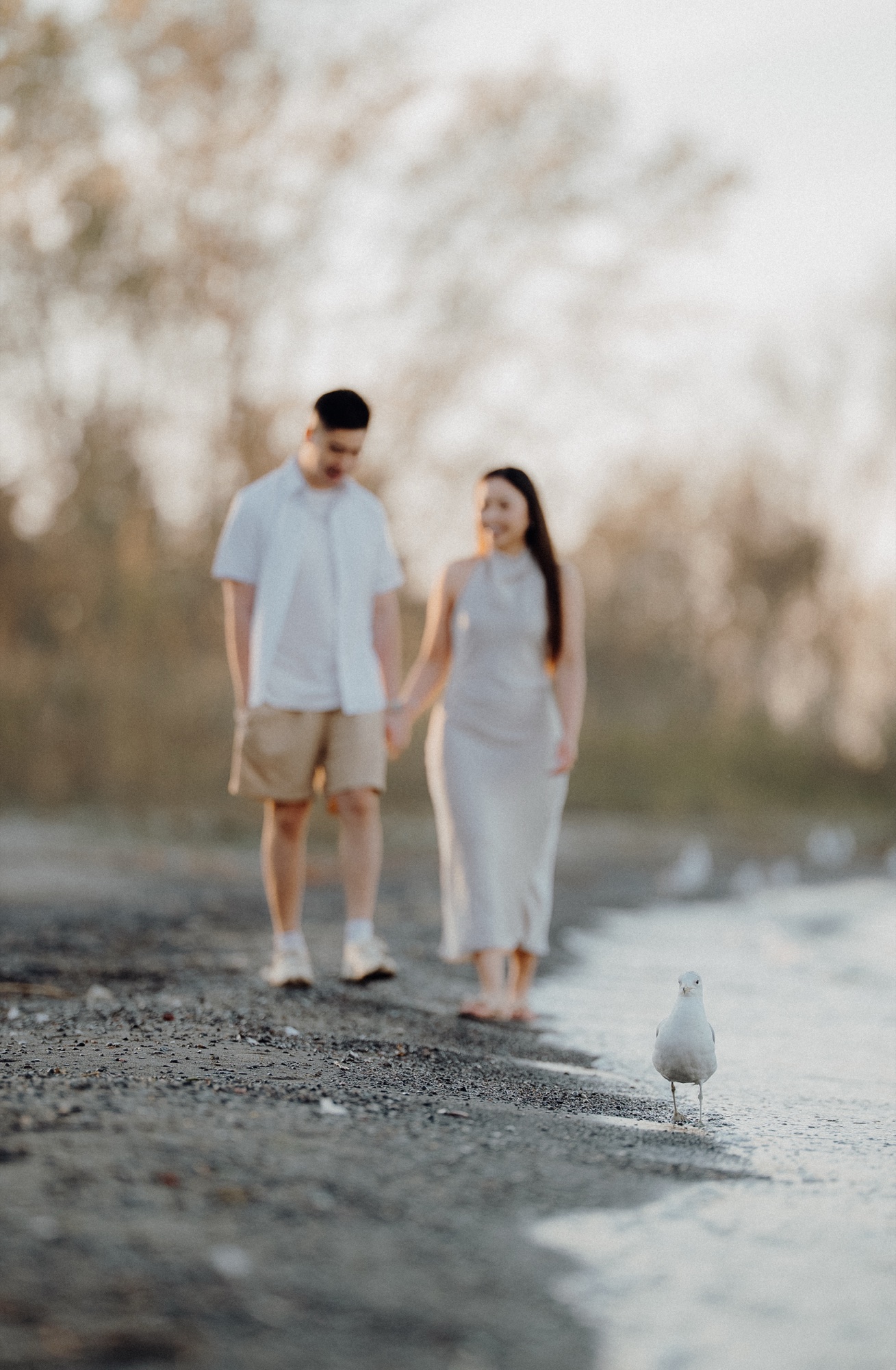 Tommy & Elen engagement session at Scarborough Bluffs, Scarborough, ON