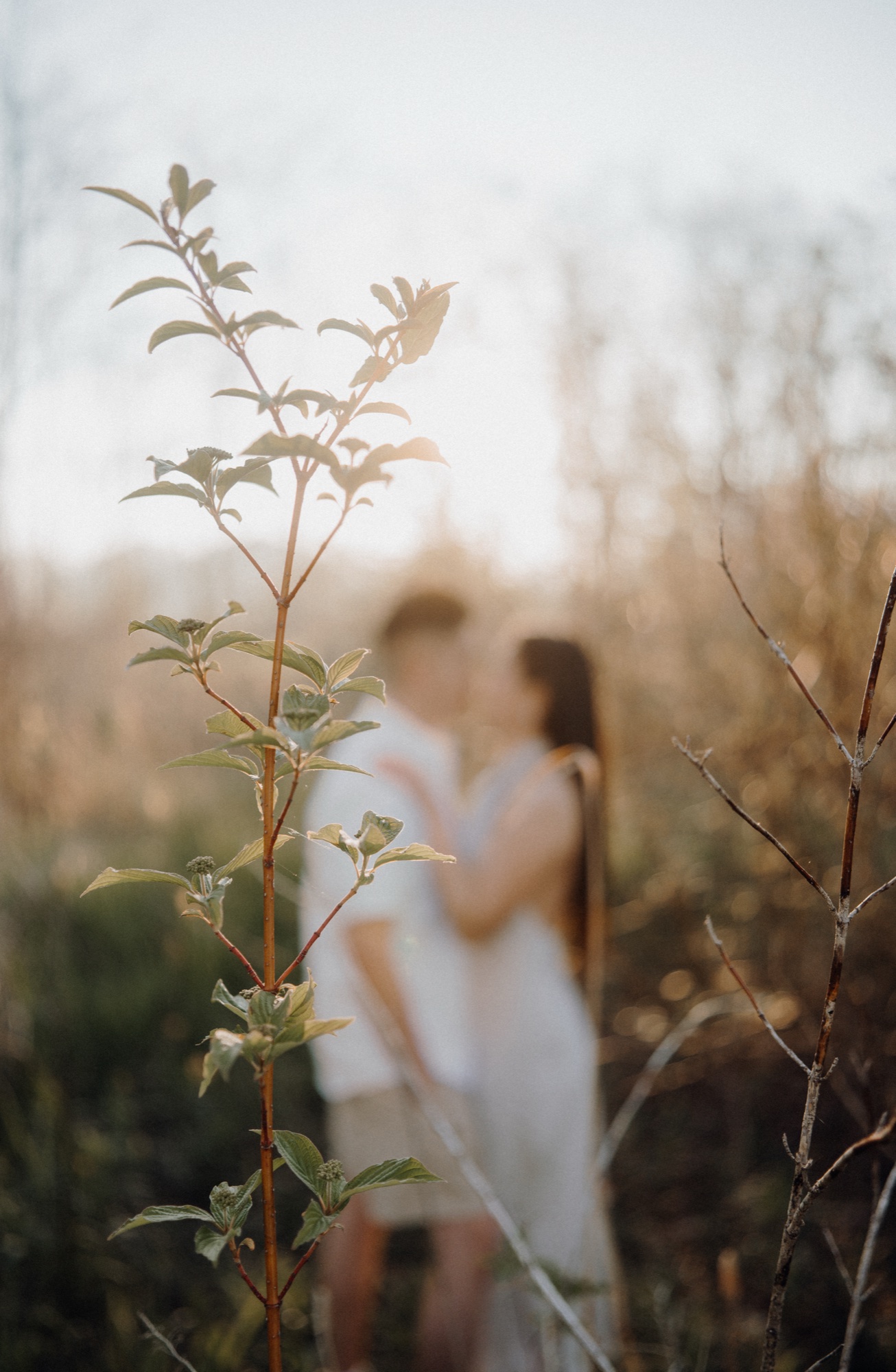 Tommy & Elen engagement session at Scarborough Bluffs, Scarborough, ON